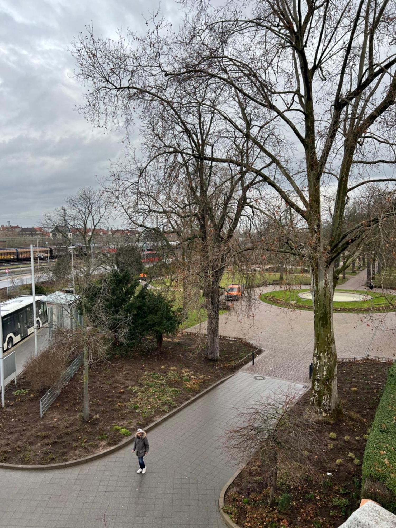 Albert-Schulte-Park Apartment- Worms Exteriör bild
